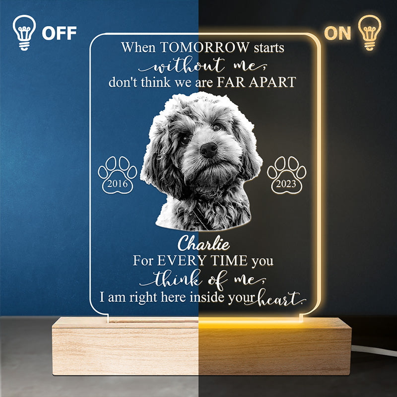 Custom Photo Every Time You Think Of Me - Memorial Personalized Custom Shaped 3D LED Light - Sympathy Gift For Pet Owners, Pet Lovers