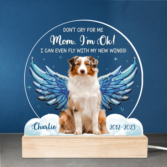 Custom Photo I Can Even Fly With My New Wings - Memorial Personalized Custom Shaped 3D LED Light - Sympathy Gift For Pet Owners, Pet Lovers